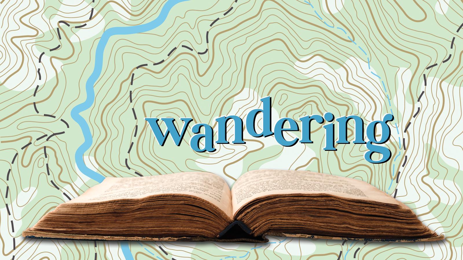 Wandering Wandering